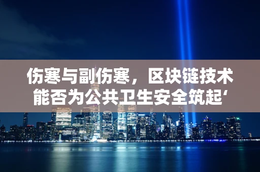 伤寒与副伤寒，区块链技术能否为公共卫生安全筑起‘数字防火墙’？