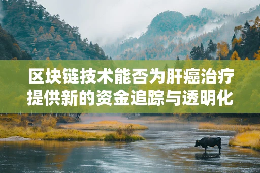 区块链技术能否为肝癌治疗提供新的资金追踪与透明化管理路径？