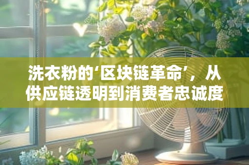 洗衣粉的‘区块链革命’，从供应链透明到消费者忠诚度的重塑