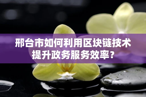 邢台市如何利用区块链技术提升政务服务效率？