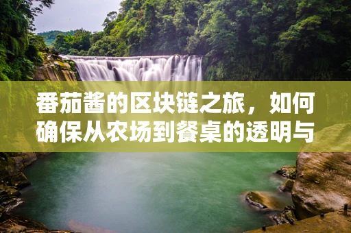 番茄酱的区块链之旅，如何确保从农场到餐桌的透明与安全？
