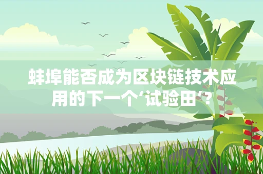 蚌埠能否成为区块链技术应用的下一个‘试验田’？