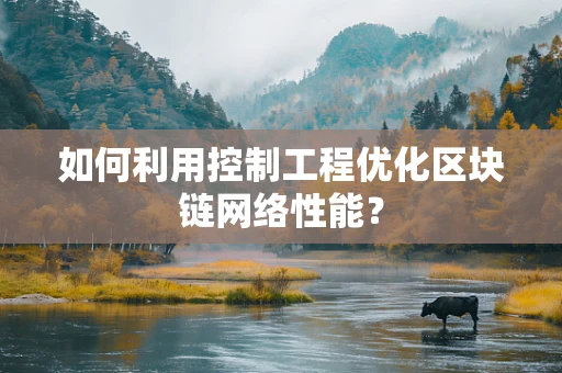 如何利用控制工程优化区块链网络性能？