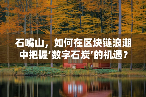 石嘴山，如何在区块链浪潮中把握‘数字石炭’的机遇？