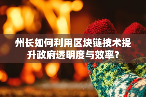 州长如何利用区块链技术提升政府透明度与效率？