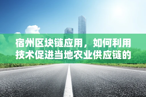 宿州区块链应用，如何利用技术促进当地农业供应链的透明与效率？