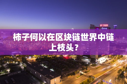 柿子何以在区块链世界中链上枝头？
