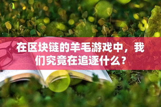 在区块链的羊毛游戏中，我们究竟在追逐什么？