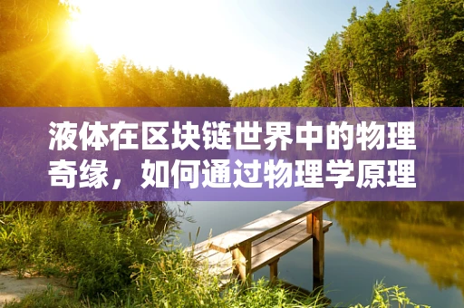 液体在区块链世界中的物理奇缘，如何通过物理学原理优化交易效率？