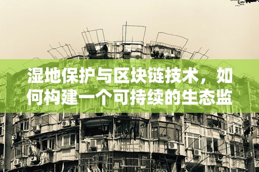 湿地保护与区块链技术，如何构建一个可持续的生态监管系统？