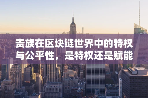 贵族在区块链世界中的特权与公平性，是特权还是赋能？