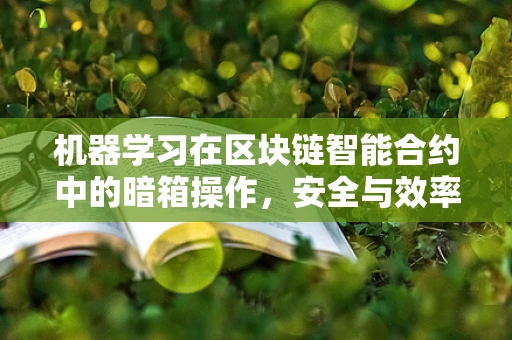 机器学习在区块链智能合约中的暗箱操作，安全与效率的双重挑战？