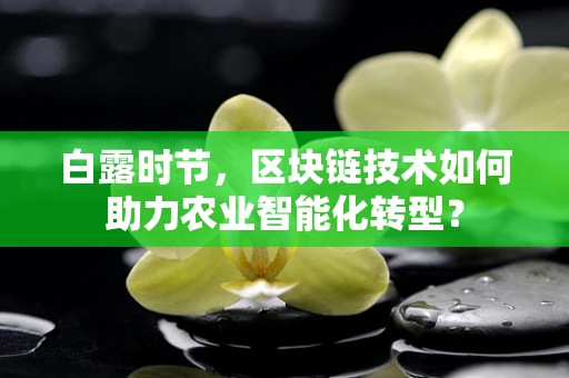 白露时节，区块链技术如何助力农业智能化转型？