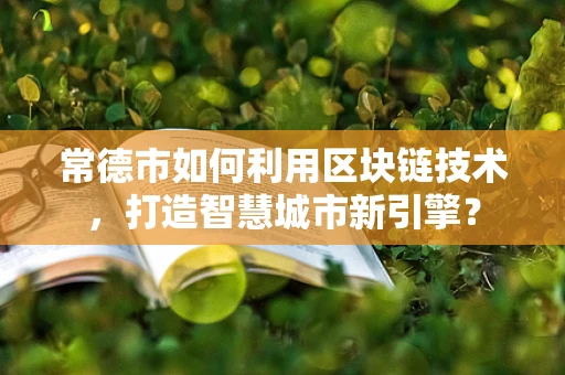 常德市如何利用区块链技术，打造智慧城市新引擎？