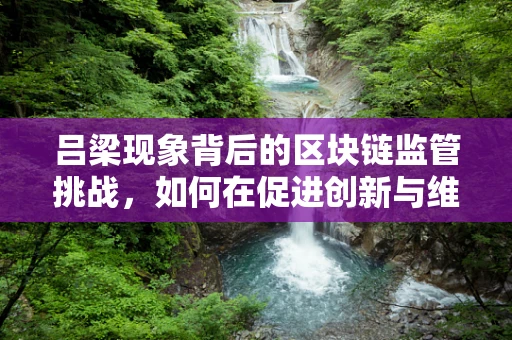 吕梁现象背后的区块链监管挑战，如何在促进创新与维护秩序间找到平衡？