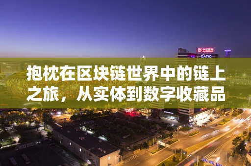 抱枕在区块链世界中的链上之旅，从实体到数字收藏品的变身记？
