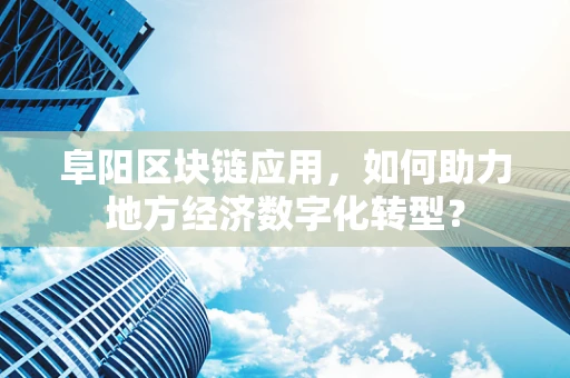 阜阳区块链应用，如何助力地方经济数字化转型？