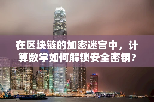在区块链的加密迷宫中，计算数学如何解锁安全密钥？