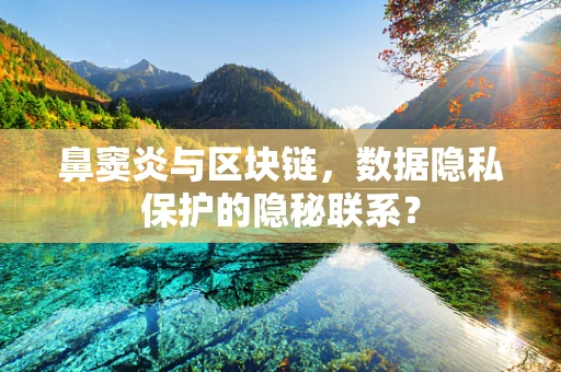 鼻窦炎与区块链，数据隐私保护的隐秘联系？