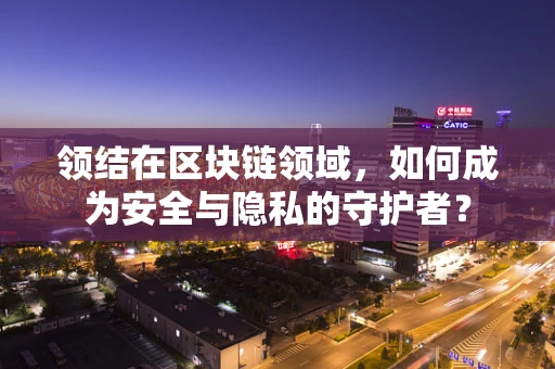 领结在区块链领域，如何成为安全与隐私的守护者？