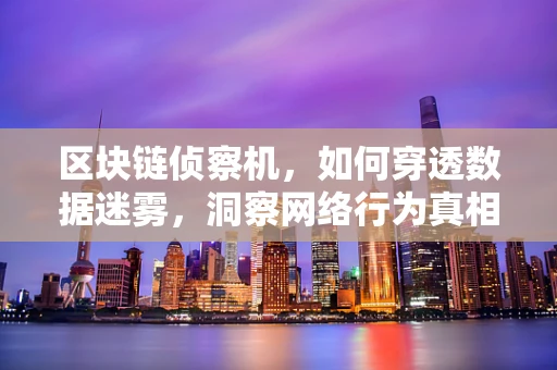 区块链侦察机，如何穿透数据迷雾，洞察网络行为真相？