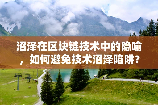 沼泽在区块链技术中的隐喻，如何避免技术沼泽陷阱？