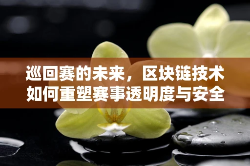 巡回赛的未来，区块链技术如何重塑赛事透明度与安全性？