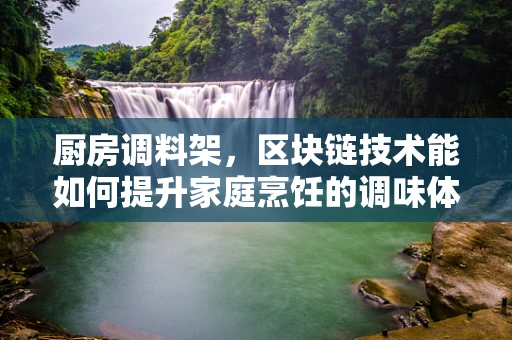 厨房调料架，区块链技术能如何提升家庭烹饪的调味体验？