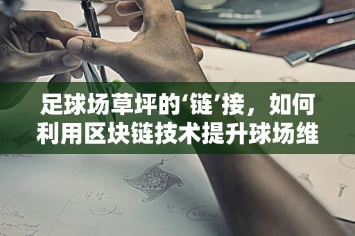 足球场草坪的‘链’接，如何利用区块链技术提升球场维护与可持续性？
