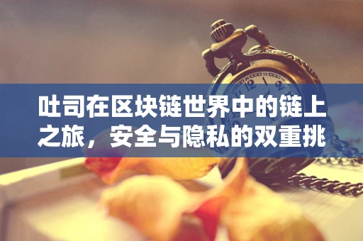 吐司在区块链世界中的链上之旅，安全与隐私的双重挑战？