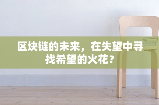 区块链的未来，在失望中寻找希望的火花？