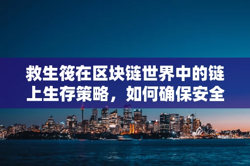 救生筏在区块链世界中的链上生存策略，如何确保安全与效率？
