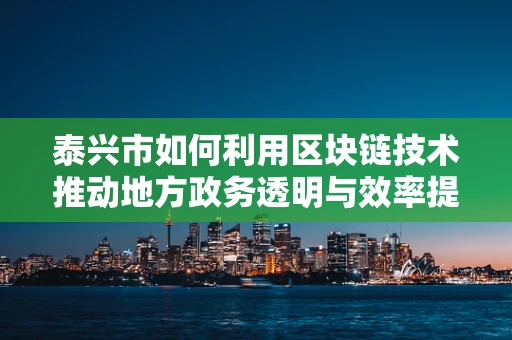 泰兴市如何利用区块链技术推动地方政务透明与效率提升？