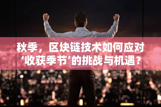 秋季，区块链技术如何应对‘收获季节’的挑战与机遇？