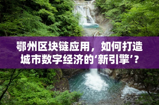 鄂州区块链应用，如何打造城市数字经济的‘新引擎’？