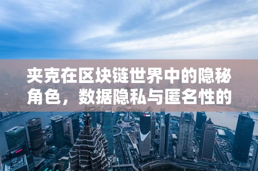 夹克在区块链世界中的隐秘角色，数据隐私与匿名性的守护者？