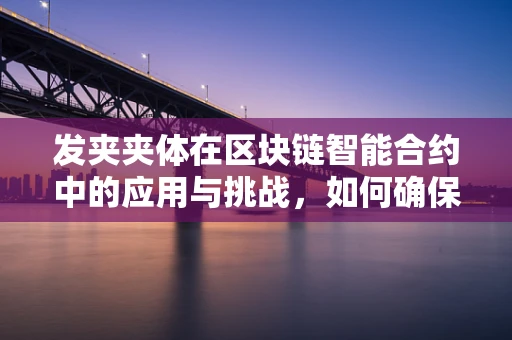 发夹夹体在区块链智能合约中的应用与挑战，如何确保其安全与效率？