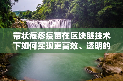 带状疱疹疫苗在区块链技术下如何实现更高效、透明的接种管理？
