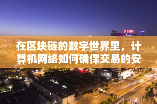 在区块链的数字世界里，计算机网络如何确保交易的安全与透明？