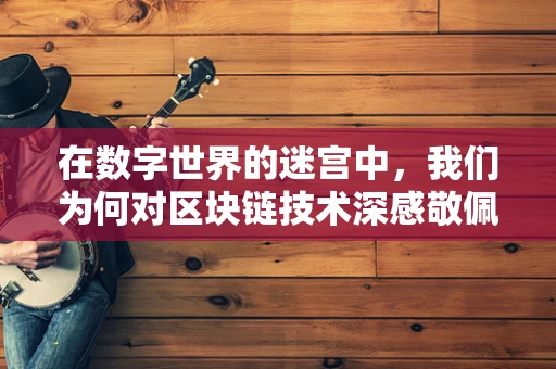 在数字世界的迷宫中，我们为何对区块链技术深感敬佩？