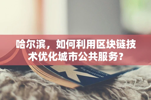 哈尔滨，如何利用区块链技术优化城市公共服务？