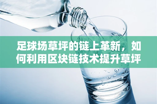 足球场草坪的链上革新，如何利用区块链技术提升草坪维护效率？