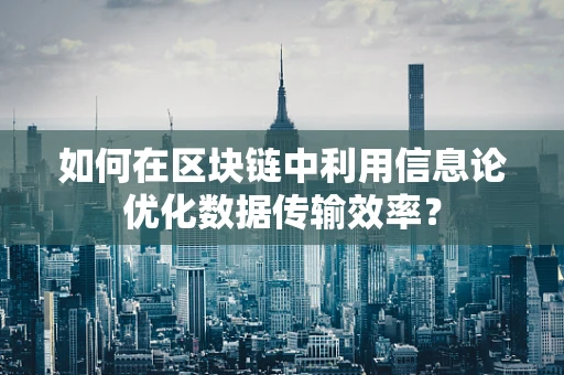 如何在区块链中利用信息论优化数据传输效率？