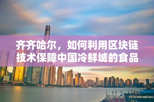 齐齐哈尔，如何利用区块链技术保障中国冷鲜城的食品安全？