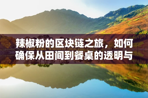 辣椒粉的区块链之旅，如何确保从田间到餐桌的透明与安全？