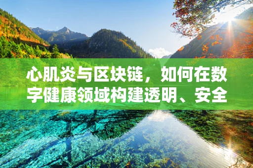 心肌炎与区块链，如何在数字健康领域构建透明、安全的诊疗网络？