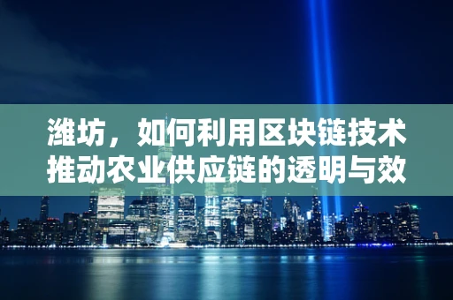 潍坊，如何利用区块链技术推动农业供应链的透明与效率？