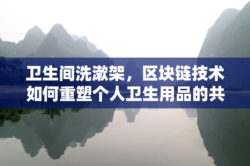 卫生间洗漱架，区块链技术如何重塑个人卫生用品的共享与安全？