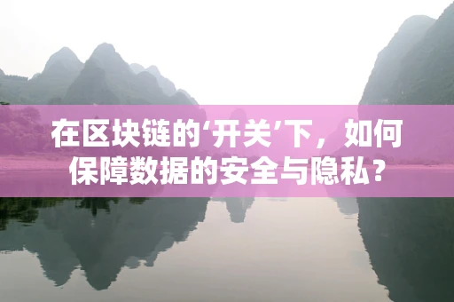 在区块链的‘开关’下，如何保障数据的安全与隐私？