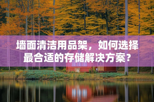 墙面清洁用品架，如何选择最合适的存储解决方案？